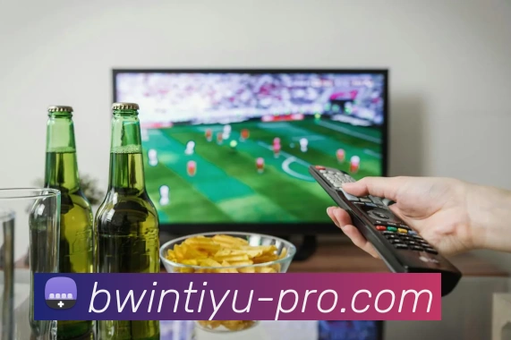 App Interface Preview